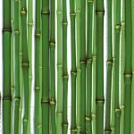 Cocktail - Bamboo allover